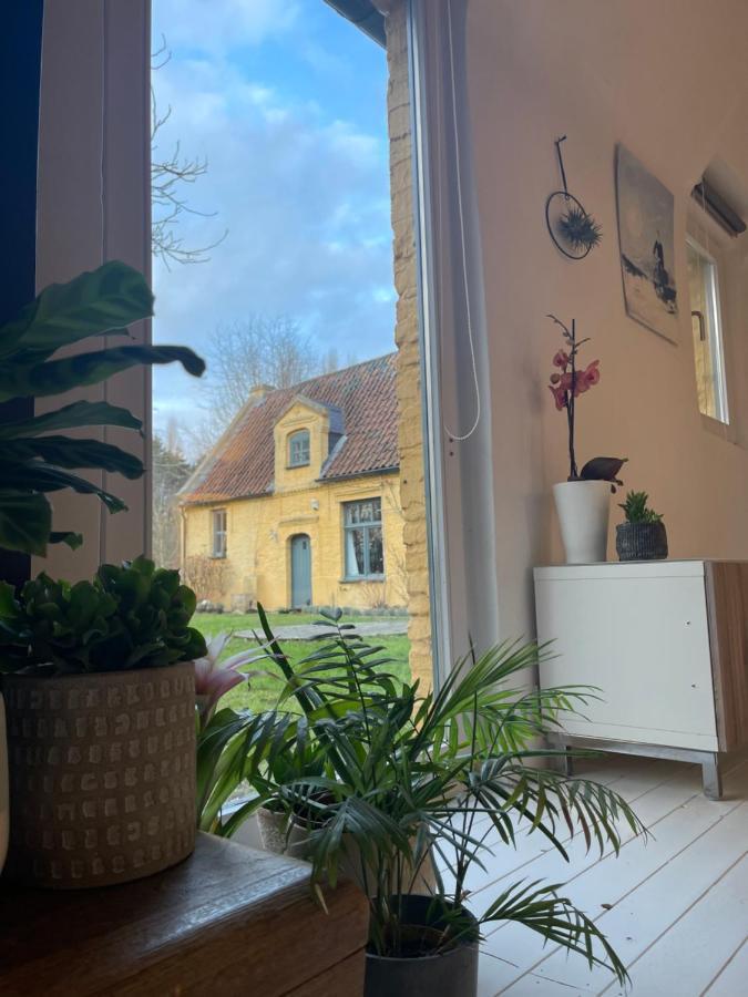 Appartement Vrijstaat Marie Halter Destelbergen Exteriör bild